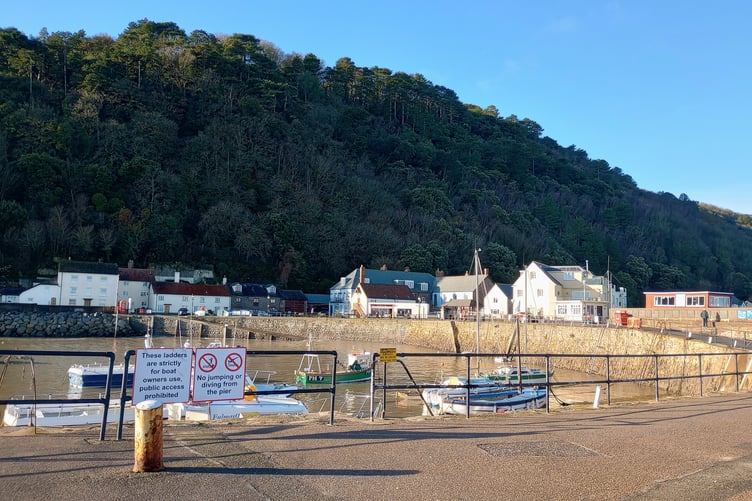 Minehead harbour on a sunny morning. PHOTO: Fiona Haigh
