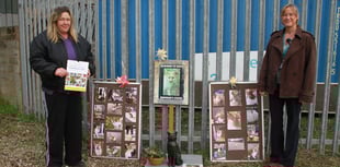 Memorial to much-loved town cat unveiled