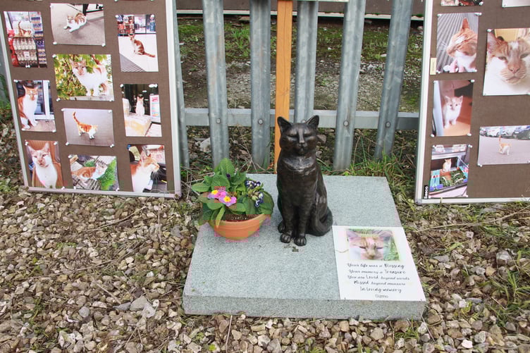 The memorial in Mart Road, Minehead, to the town's popular cat Gizmo.