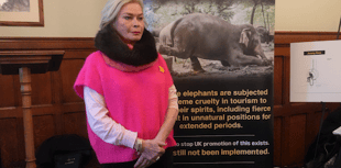 MP demands action on cruel animal experiences