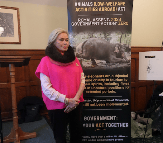 MP Rachel Gilmour is backing campaigners who want the Government to move quicker to ban British sales of overseas animal experiences where welfare standards are low.