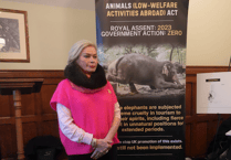 MP Rachel Gilmour pressing Government to ban promotion of cruel animal experiences