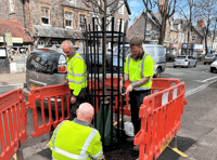 Town centre street trees are replaced