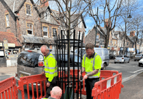 First phase of Minehead street trees replacement nears completion