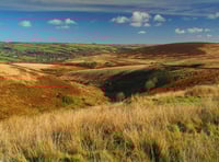 Supported internships provide path to employment