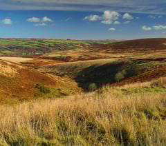 Supported internships provide path to employment