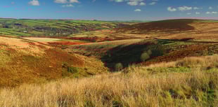 Supported internships provide path to employment