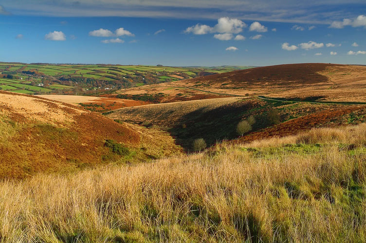 A supported internship programme is being launched on Exmoor to help young SEND students find employment.