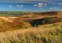 SEND students can follow supported internships path to find work on Exmoor