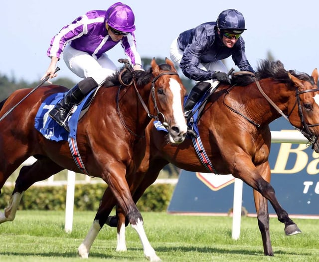 Seventy-five entries for Cothelstone point to point 