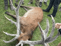 Covert saboteurs unit reveals hunt findings