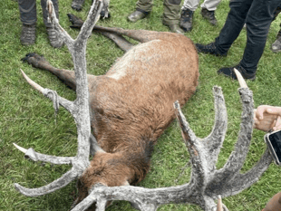 Covert saboteurs unit reveals hunt findings