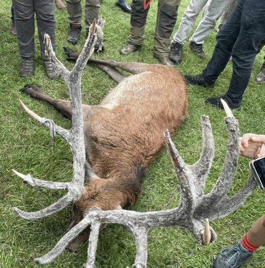 Covert saboteurs unit reveals hunt findings