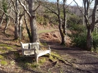 Letters from our readers in West Somerset and beyond 