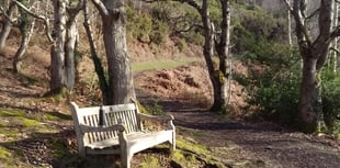 Letters from our readers in West Somerset and beyond 