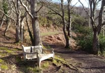 Letters from our readers in West Somerset and beyond