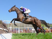 Competitors greeted by glorious sunshine for Point-to-Point 