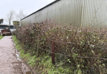 Permission granted to remove 33m hedgerow