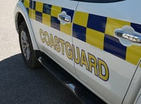 Dog dies and owner rescued in coastal drama