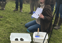 Exmoor farmers learn the importance of dung beetles to them
