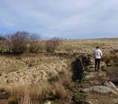 Celebrating coast to coast route 50th anniversary