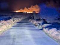 Arsonist may have set triple-heathland blazes