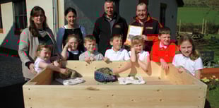 School receives new run for guinea pigs