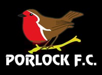 Laney's quadruple helps Porlock thrash Wellington A