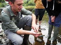 Creating SEND jobs on Exmoor