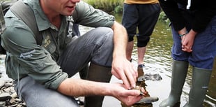 Creating SEND jobs on Exmoor