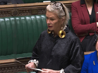 MP proposes maternity care improvements