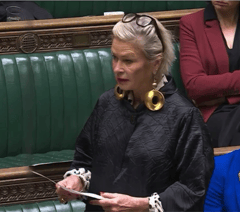 MP proposes maternity care improvements