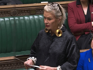 MP proposes maternity care improvements