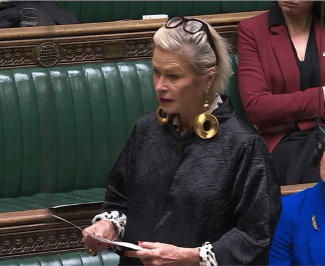 MP proposes maternity care improvements