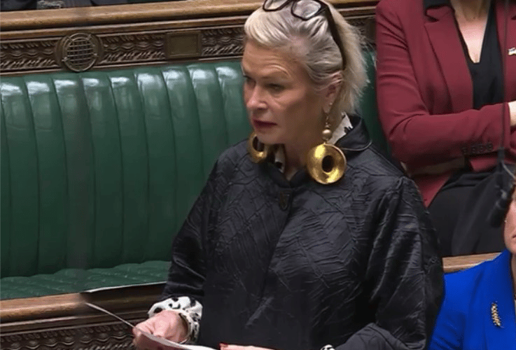 MP Rachel Gilmour speaking in Parliament about improvements needed in maternity care.