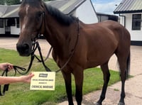 Few runners but three runners-up places