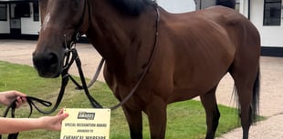 Few runners but three runners-up places