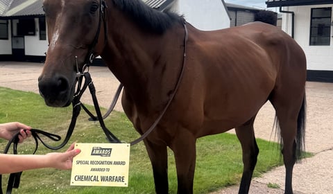 Few runners but three runners-up places