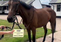 Few runners but three runners-up places