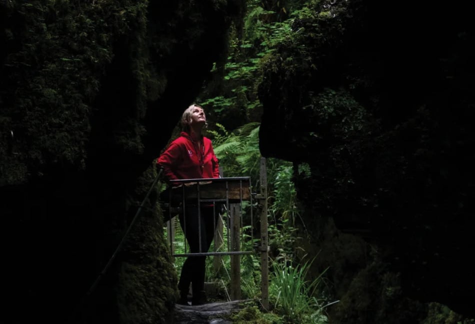 National Trust calling everyone to write to MP to safeguard nature