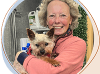 Dog walking to raise charity awareness