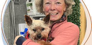 Dog walking to raise charity awareness