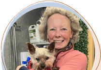 Cinnamon Trust organising Minehead 'Big Walk' to raise profile of pet owners' charity