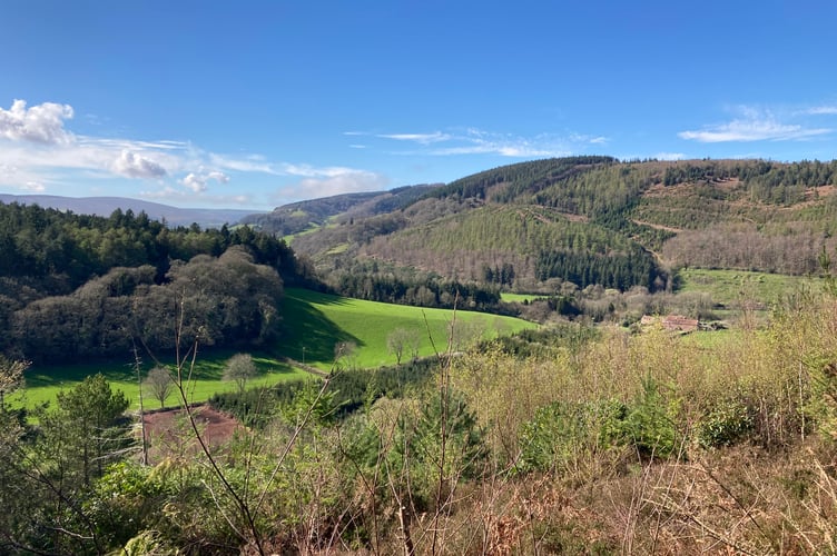 Spring sunshine views from around Dunster. PHOTO: Geoff Dibble