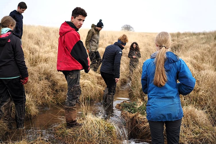 Youngsters take part in a water vole habitat restoration workshop on Exmoor.