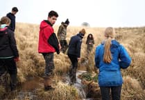 New report highlights challenges facing Exmoor wildlife and habitat