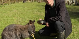 Zoo's Easter baby surprise delights visitors