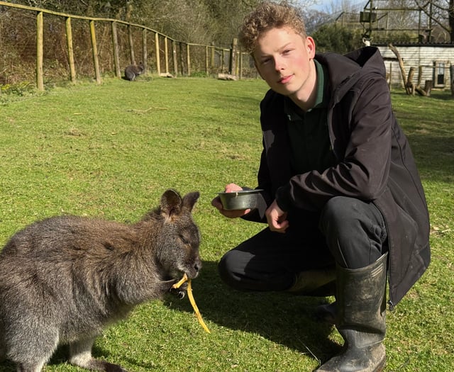 Zoo's Easter baby surprise delights visitors