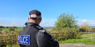 'Some success' say police tackling youth crime