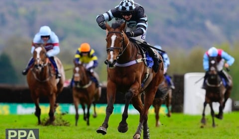 Charlie Marshall enjoys point to point treble 